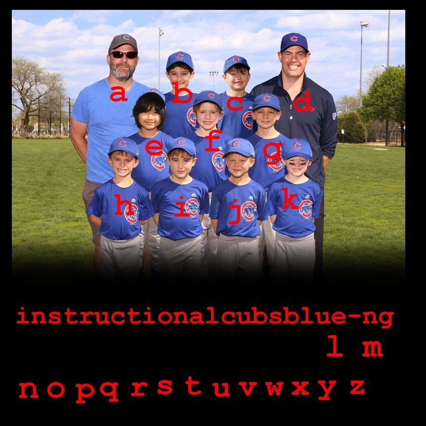 Instructional - Cubs