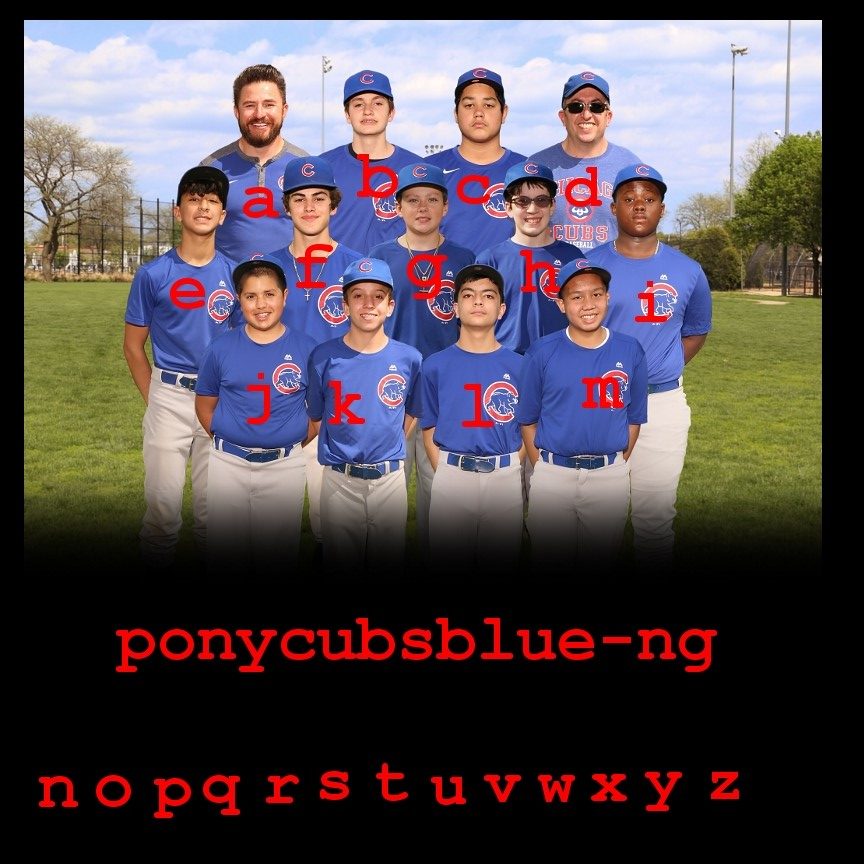 Pony - Cubs