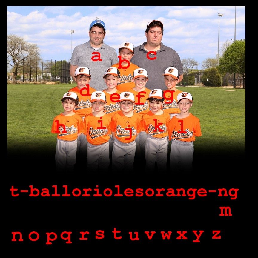 T-Ball Orioles